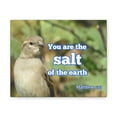 thumbnail image 5 of Scripture Walls  Salt Of The Earth Matthew 5:13 Bible Verse Canvas Christian Wall Art Ready to Hang Unframed, 5 of 17
