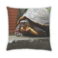 thumbnail image 2 of Ahgly Company Animals Turtle Coussin d'Intérieur, 18 Pouces par 18 Pouces, 2 of 6