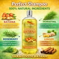 thumbnail image 4 of Batana Shampoo 33.8 fl oz (1 Liter) with Real Batana, Rosemary & Cinnamon, Strengthening & Shine Shampoo All Hair Types., 4 of 6