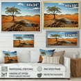 thumbnail image 4 of Designart "horizon Australia Outback Spectrum I" Landscapes Floater Framed Wall Decor, 4 of 7