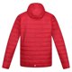 thumbnail image 2 of Regatta - Chaqueta Hillpack Con Capucha para Hombre (Rojo Oscuro) Regatta UTRG8445_darkred, 2 of 6