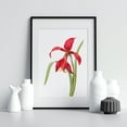 thumbnail image 2 of Botanical Red Amaryllis Flower Wall Art, Printable Wall Art, Flower Printable, Digital Print, Poster,Interior wall decoration, living room, bedroom, kitchen, frameless 8X10 inches, 2 of 4