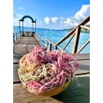 thumbnail image 2 of SeaMoss Boss Canouan | Dried 8oz Full Spectrum sea Moss | Ocean harvested and Sun-Dried in The Remote Grenadine Islands | Makes 120oz sea Moss Gel, 2 of 4