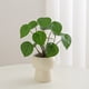 thumbnail image 3 of Decoración de Planta Verde Simulada, Plantas en Macetas Pequeñas, Decoración de Sala de Estar, Flores Artificiales, Plantas Verdes Eternas, Decoración de Bonsái Interior Decoraciones Del Hogar para La, 3 of 6