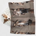 thumbnail image 6 of Disketp Funny Horse Faces Expressions Dog Blanket/Bed Cover for Dogs and Cats,Puppy Essentials-Medium, 6 of 8