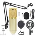 thumbnail image 1 of Singing Studio Recording Kit Phone PC KTV Mic Micrófono de red Soporte de brazo plegable, Dorado seitruly EL001055-05, 1 of 2