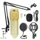 thumbnail image 1 of Singing Studio Recording Kit Phone PC KTV Mic Micrófono de red Soporte de brazo plegable, Dorado Methold EL001055-05, 1 of 2