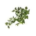 thumbnail image 1 of Plantas falsas Billuyoard Planta artificial Flor Simulación Hoja Vid Verde Type3 NO3, 1 of 6