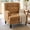 Orange, variant on Leumius Accent Chair, Modern Tufted Armchair, Upholstered Single Sofa Chair for Living Room and Bedroom, Beige