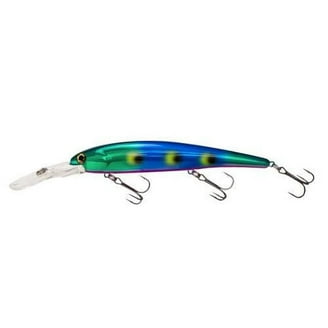 academy sports fishing lure brand H2OX 3-Piece Top Water Kit