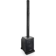 Portable Line Array Column PA/DJ System with 12" Powered Subwoofer, TWS Bluetooth, DSP, Carry Bag (CARPO-L2)