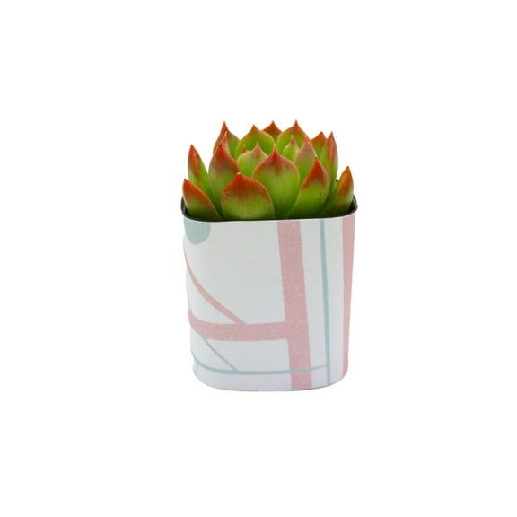 Plants Of Joy Pink and Green Art Deco Print Succulent Wraps for Weddings, Baby Shower, and Party Favors. 25 Count Pack.