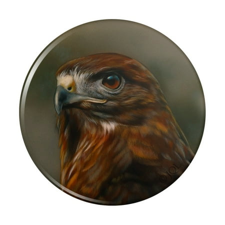 

Red-Tailed Hawk Raptor Portrait Kitchen Refrigerator Locker Button Magnet