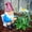 toilet, variant on 5.9"  Funny Garden Gnome - Outdoor Gnome on The Throne Reading His Phone - Yard, Patio, Lawn, and Outdoor Decor