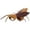 Brown, variant on Halloween Pet Cockroach Costume, Funny Cosplay Outfit for Dogs and Cats, Soft Lightweight Dress-Up Suit for Halloween Parties and Photos, Brown, 1 Count