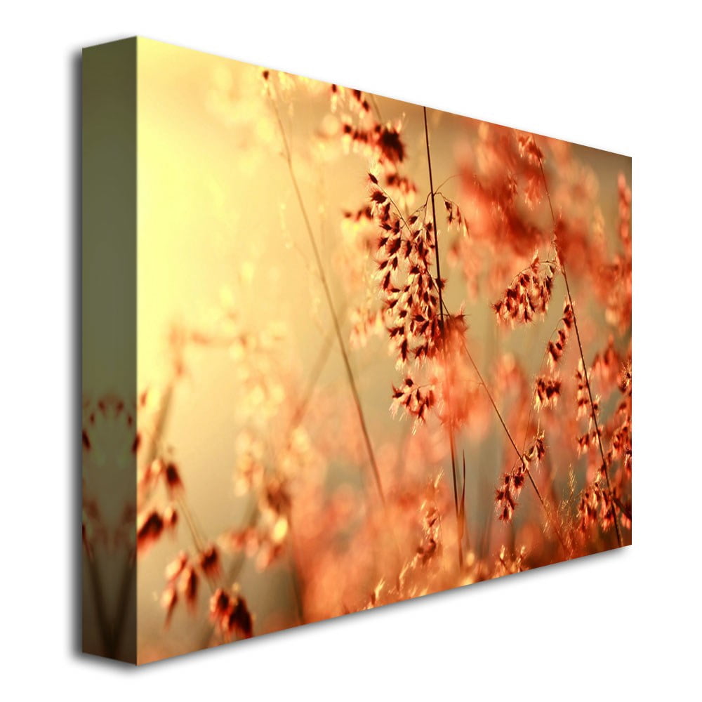 Beata Czyzowska 'Sunset Conversations' Canvas Art