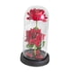 thumbnail image 2 of Regalos de San Valentín para ella: flores preservadas iluminadas, decoración creativa para el hogar rojo con base negra, 2 of 9
