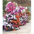 thumbnail image 2 of Flower Tower AP-FT002 KZART, Freestanding, 3-feet, Black, 2 of 2