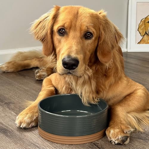 Ceramic Pet Bowl Size Medium - Food/Water Dish for Large Puppies, Cats, Retrievers, Medium Sized Dogs, ect. 28oz or 4 Cups - Basic Bowls for Your Dog or Cat, Mix and Match for a Set - Charcoal