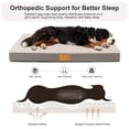 thumbnail image 3 of Exclusivo Mezcla Extra Large Dog Bed with Removable and Washable Cover 56"x40", Orthopedic Pet Bed for Crates, Non-Slip Bottom and Waterproof Liner, Ivory, 3 of 10
