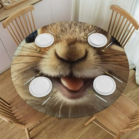 

Patifu Squirrel Sky Chippy Round Tablecloth Stain-Resistant Washable 100% Polyester Fiber Great for Home Kitchen Parties Holiday Dinner with Elastic Edge 54 -58