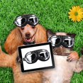 thumbnail image 1 of Gafas para perros Gafas de sol anti-UV Gafas de protección para los ojos del cachorro Suministros para mascotas Hugtrwg Para estrenar, 1 of 8