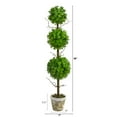 thumbnail image 2 of Nearly Natural 3ft. Eucalyptus Triple Ball Topiary Artificial Tree, 2 of 4