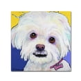 thumbnail image 2 of Trademark Fine Art "Lucy" Canvas Art by Pat Saunders-White, 2 of 4