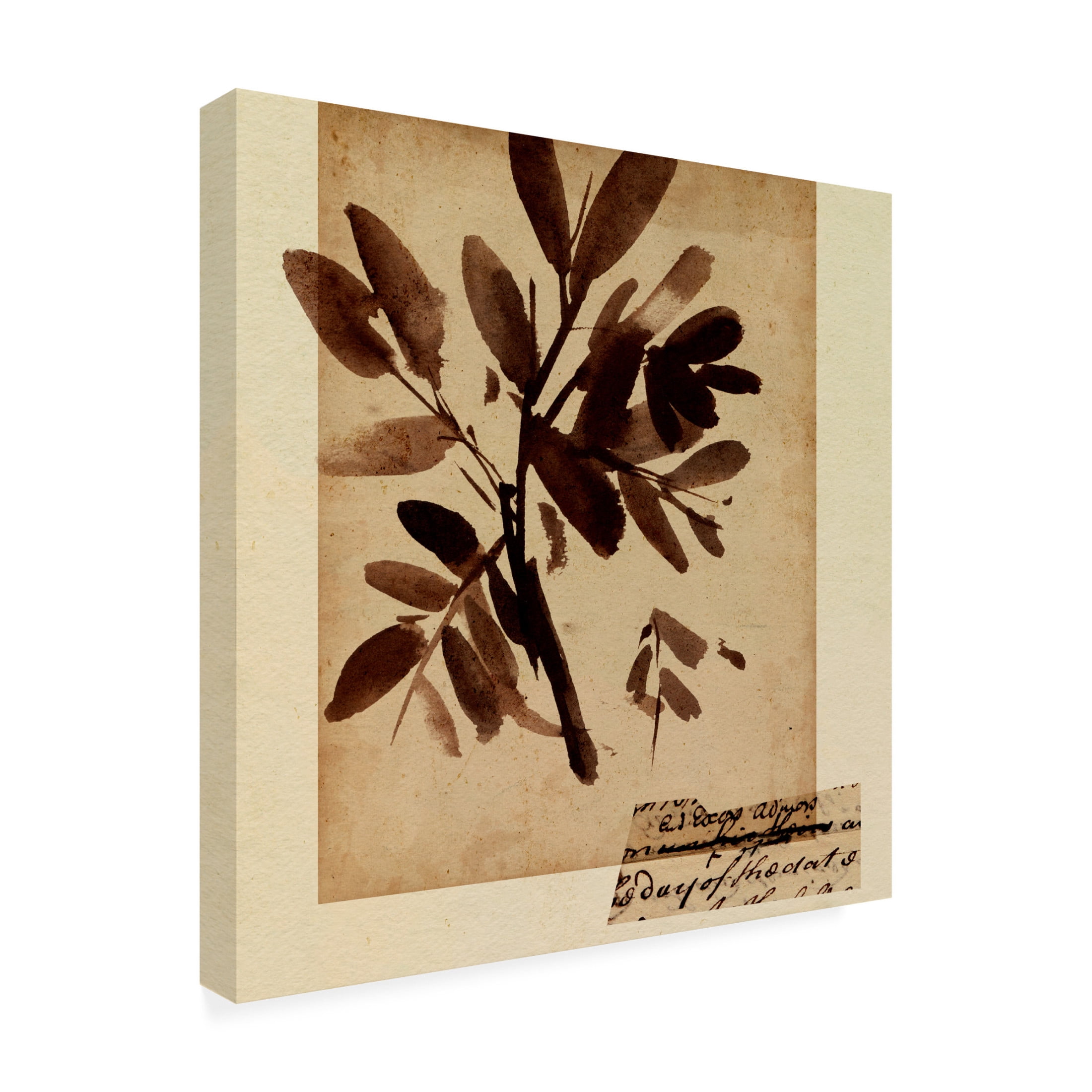 Canvas Wall Art - Melissa Wang 'Last Memory III' Wall Art for Living Room, Bedroom, or Office Décor by Trademark Fine Art - 35 x 35 Inches