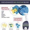 thumbnail image 4 of Cat & Dog Urine Odor Eliminator | Cat Urine Enzyme Cleaner Destroyer | Pet Urine Enzyme Cleaner | Pet Odor Eliminator, Stain & Odor Remover of Cat Dog Pee from Wood Carpet Upholstery, 4 of 4