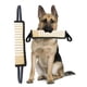 thumbnail image 3 of Interactive Tug Dog Toys Tough Interactive Dog Training Pull Tug Toy, 3 of 5