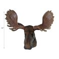 thumbnail image 3 of IH Casa Decor Polyresin Moose Head Baron 15", 3 of 3