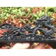 thumbnail image 4 of 1 Piece of Chinese Dragon-Shaped Sword Stand, Travel Matching Sword Stand, Decorative Stand, General, 4 of 5
