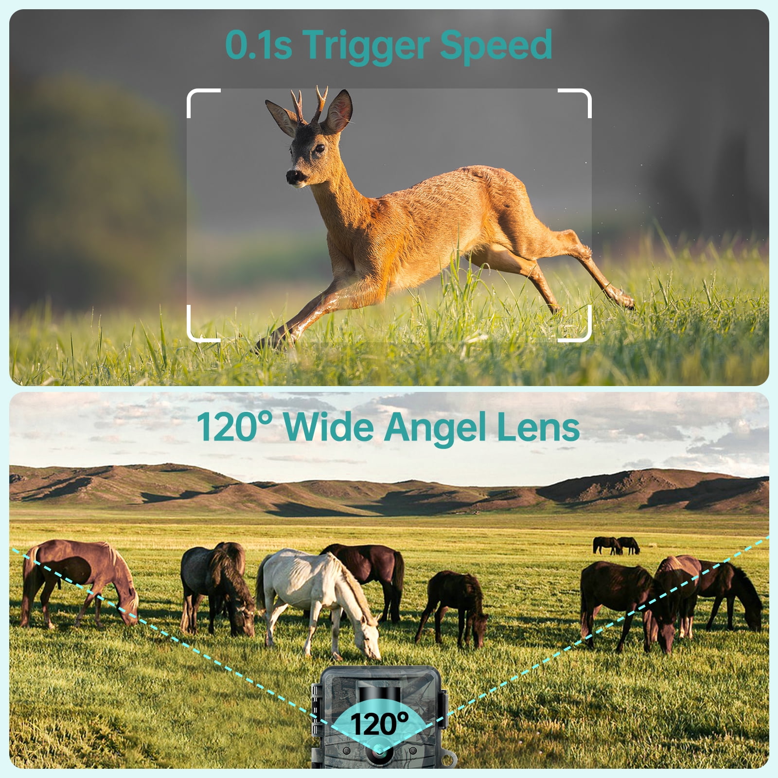 Campark Trail Camera 4K 48MP Hunting Game Camera with Infrared Night Vision Motion Activated Waterproof IP66 0.1s Trigger Time Lapse 2.0" LCD Trail Wildlife Cam Surveillance Monitors