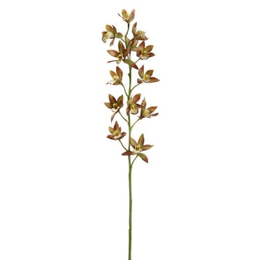 8 Pack: Rust Red Boat Orchid Spray by Ashland®