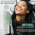 thumbnail image 5 of Hair Detangling Brush by Fiora Naturals - 100% Bio-Friendly Detangler Brush w/ Ultra-Soft Bristles, 5 of 5