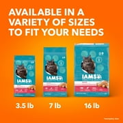 Iams Proactive Health Salmon Dry Cat Food, 7 Lb Bag