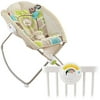 Fisher-Price Rainforest Friends Sleeper & Projection Soother Value Set