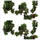 thumbnail image 1 of Hoja de seda 2x Plantas Artificiales con Cable , Vid, Fruta, Ratán de Plástico Fanmusic Hoja de seda, 1 of 7