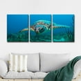 thumbnail image 3 of Ready2HangArt  'Turtle' 3-Piece Wrapped Canvas Wall Art Set, 3 of 5