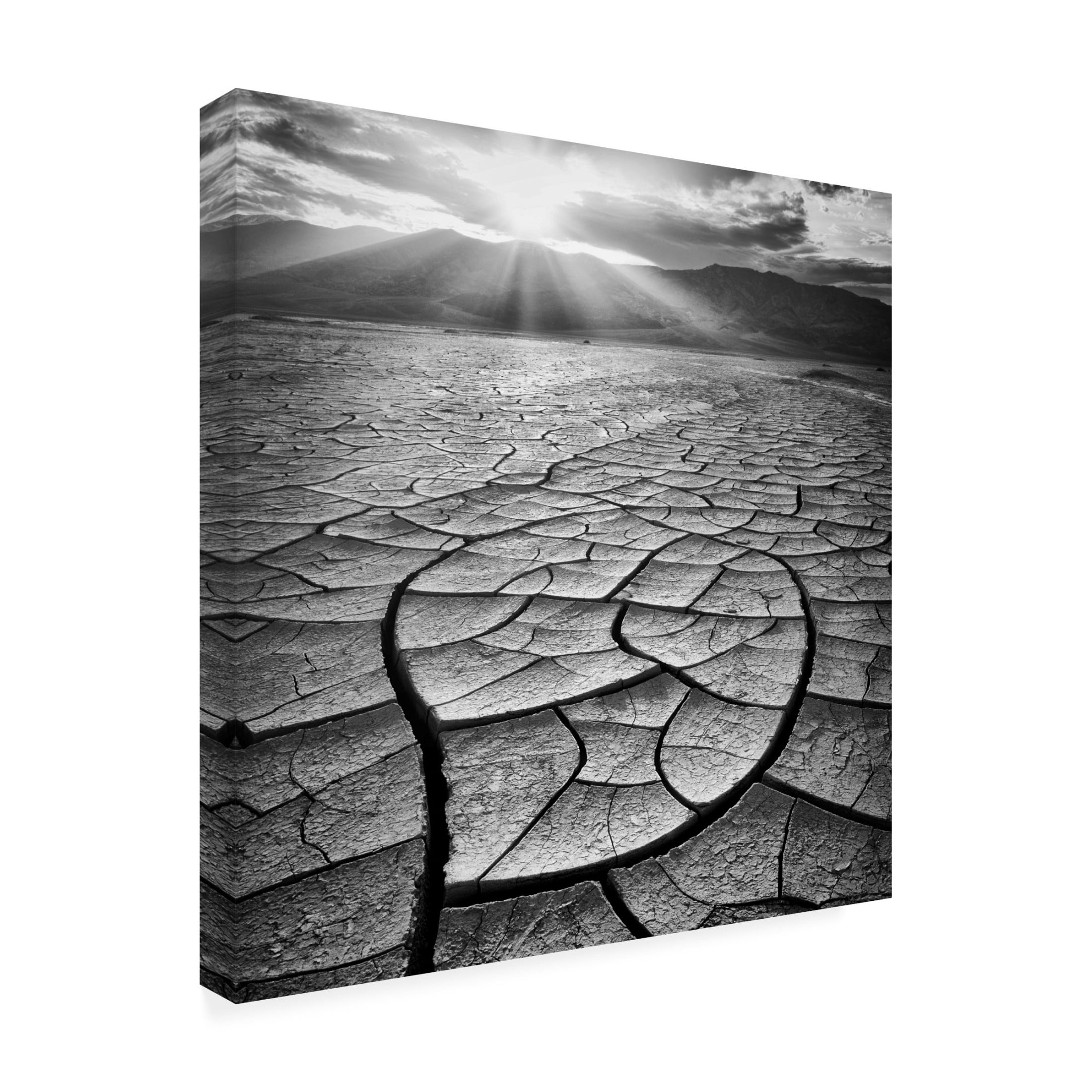 Canvas Wall Art - Yi Fan 'Arid' Wall Art for Living Room, Bedroom, or Office D?cor by Trademark Fine Art - 35 x 35 Inches