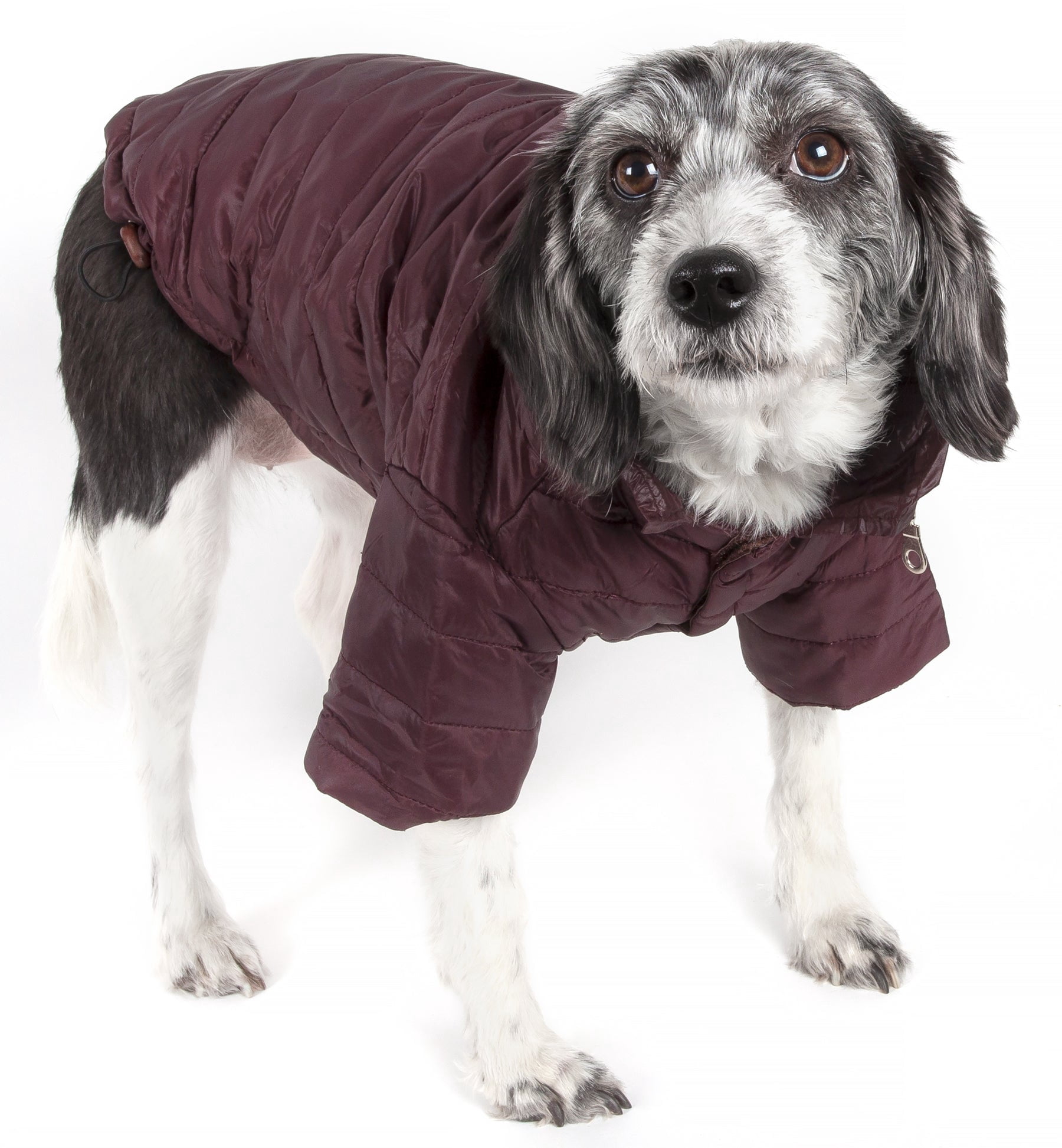Pet Life LLC 30BRSM Lightweight Adjustable 'Sporty Avalanche' Pet Coat