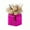 Pink, variant on Juno Glass Cube Vase