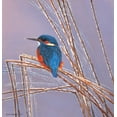 thumbnail image 2 of Weenink, Ruud 20x21 White Modern Wood Framed Museum Art Print Titled - Peace, 2 of 4
