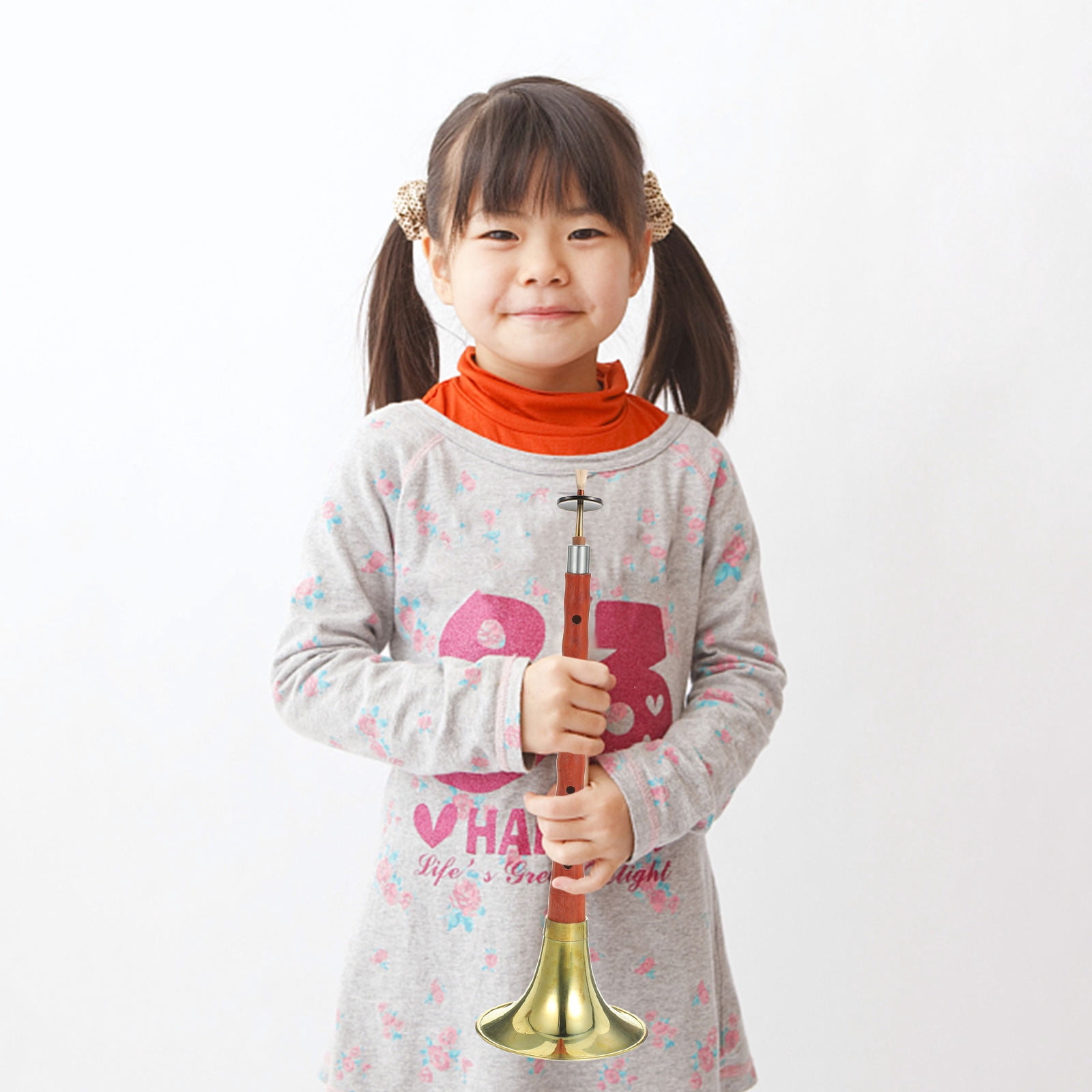 Raindrops Rosewood Compact Design 1 Set for Beginners and Professionals Chinese Folk Instrument