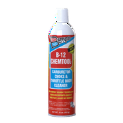 Berryman Products 0117-45, B-12 Chemtool Carburetor, Choke, and Throttle Body Cleaner, 16 oz