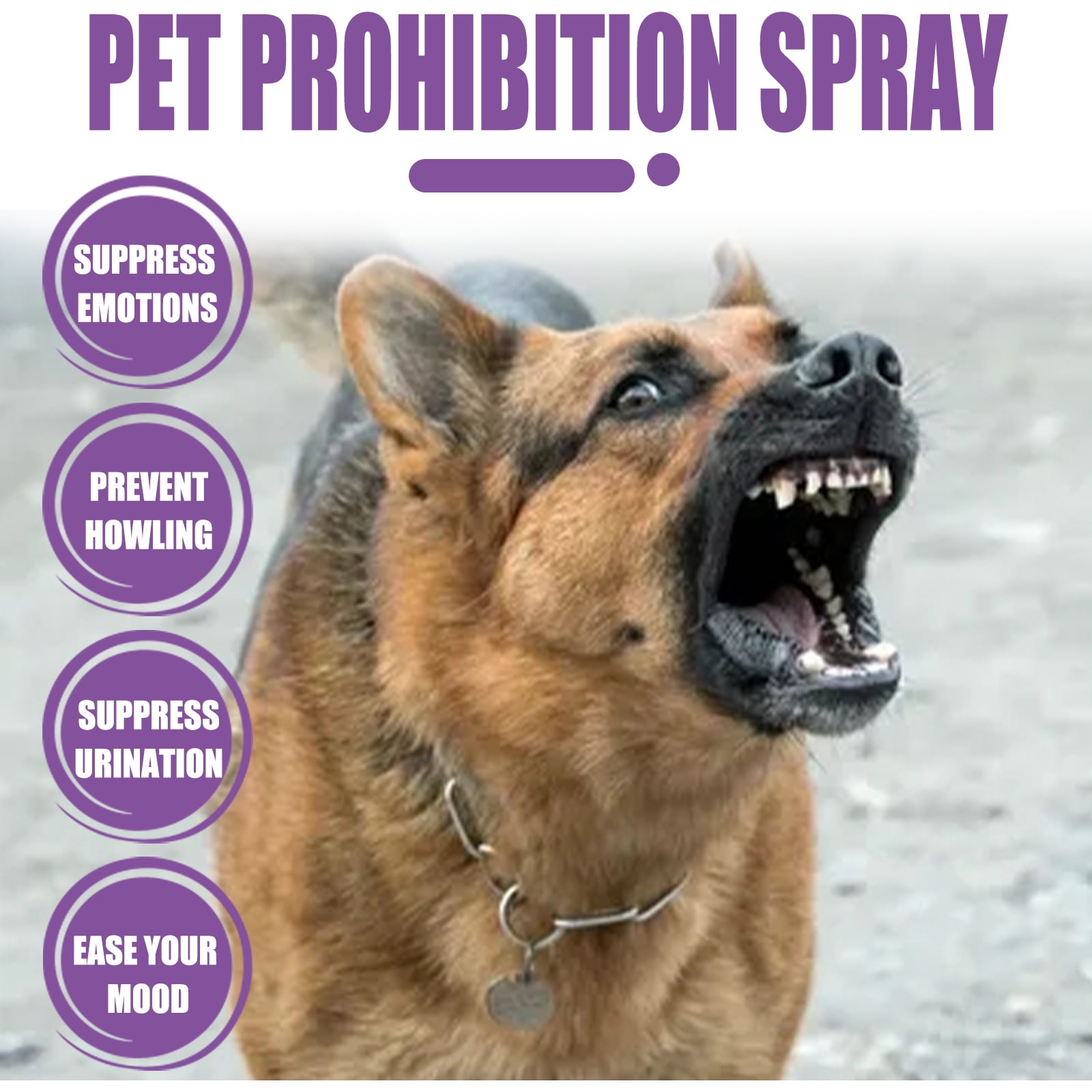 KOAHDE Liquide Pet Puant,Puant Spray,Spray Odeur Pet,Spray Pet Liqu