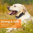 thumbnail image 6 of Golden Spike Collar for Dogs,With traction rope Spiked Dog Collar, Durable PU Leather Studded Dog Collar with Leash, Funny Mushrooms Rivet Small Puppy Pet Cat Adjustable Collar 1Pack, 6 of 6