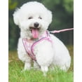 thumbnail image 2 of Enkarl Dog Harness for Small Medium Dogs No Pull, Cat Harness and Leash Set, Puppy Harness for Small Dogs, Xs Dog Harness, Step in Dog Harness, Harness and Leash for Small Dogs. (Pink, L), 2 of 6