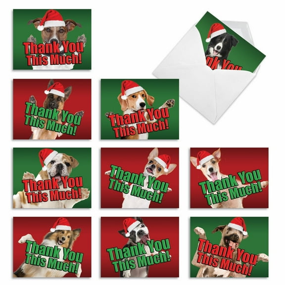 10 Bulk Merry Christmas Cards with Envelopes (4 x 5.12 Inch) - CHRISTMAS DOG BIG THANKS M2369XTG-B1x10